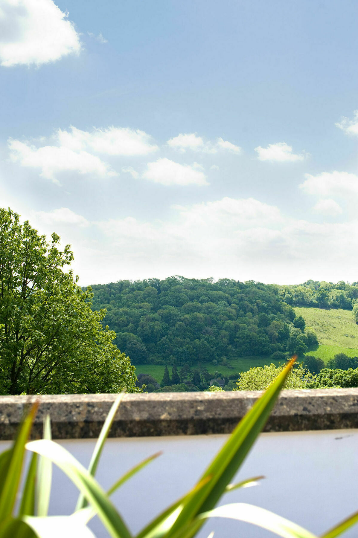 Combe Grove Hotel Limpley Stoke Экстерьер фото